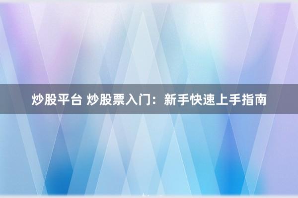 炒股平臺(tái) 炒股票入門：新手快速上手指南