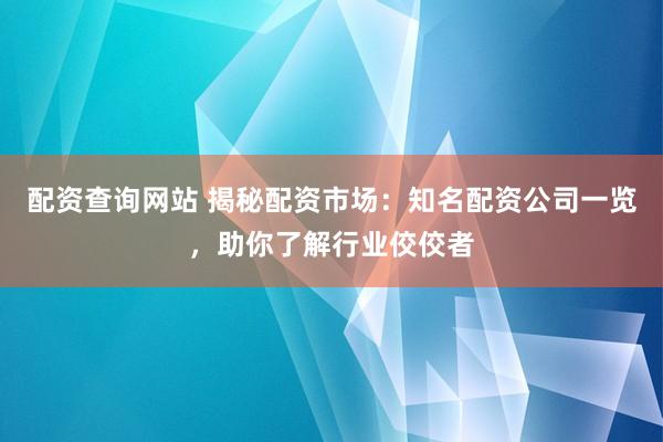 配資查詢網(wǎng)站 揭秘配資市場：知名配資公司一覽，助你了解行業(yè)佼佼者